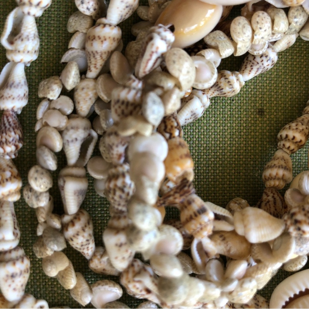 Shell necklaces two - Picture 2 of 8